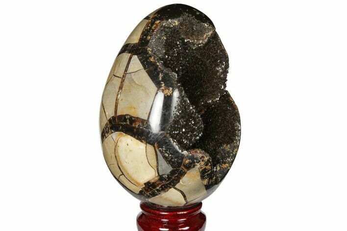 Septarian Dragon Egg Geode - Black Crystals #120936